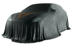 CUPRA Raval Origin 37 kWh 115PS